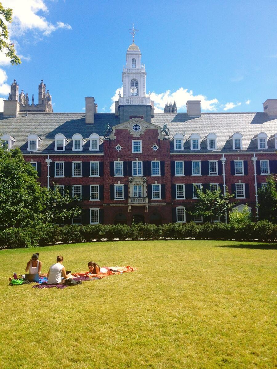 Students studying during spring time at the Davenport Courtyard