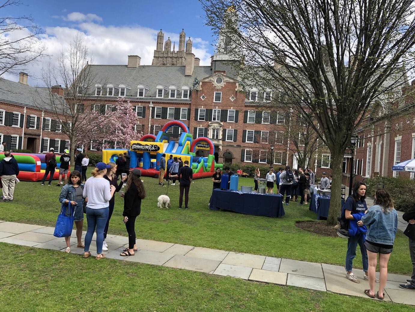 A spring event on the Davenport Courtyard